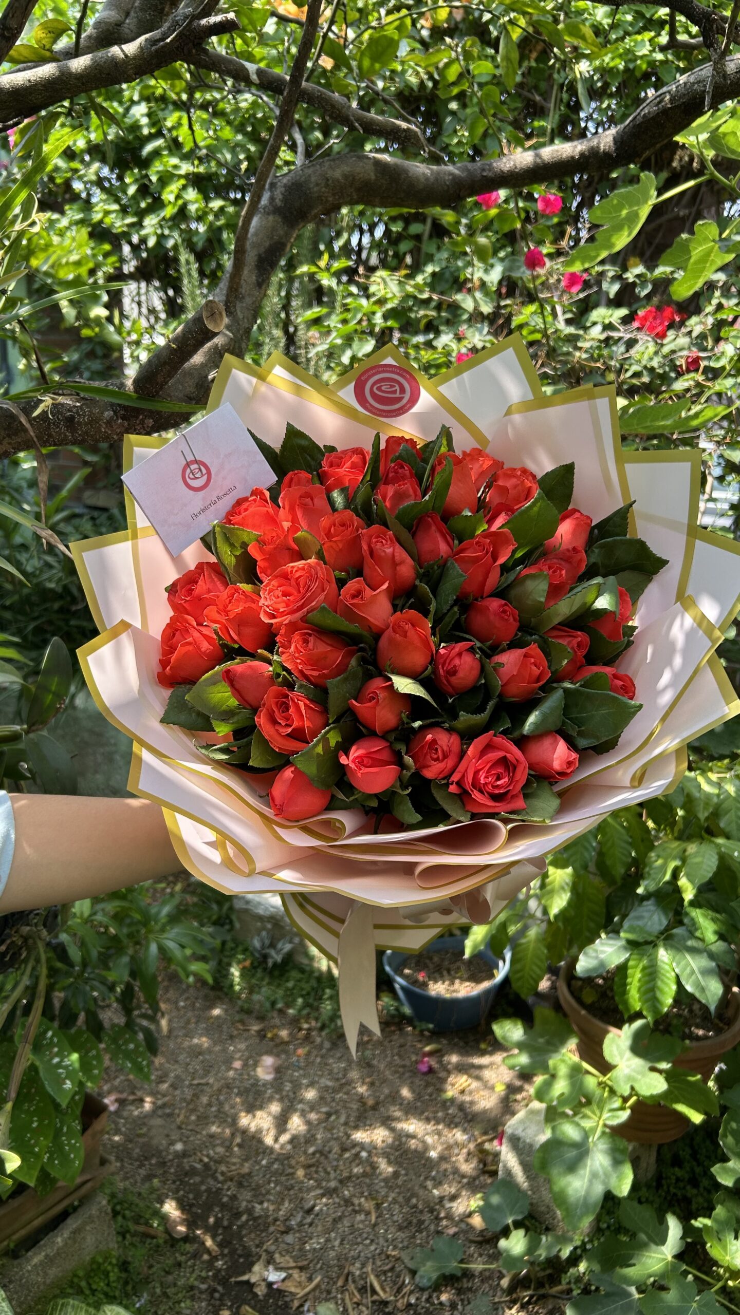 Ramo de 48 rosas - Imagen 3