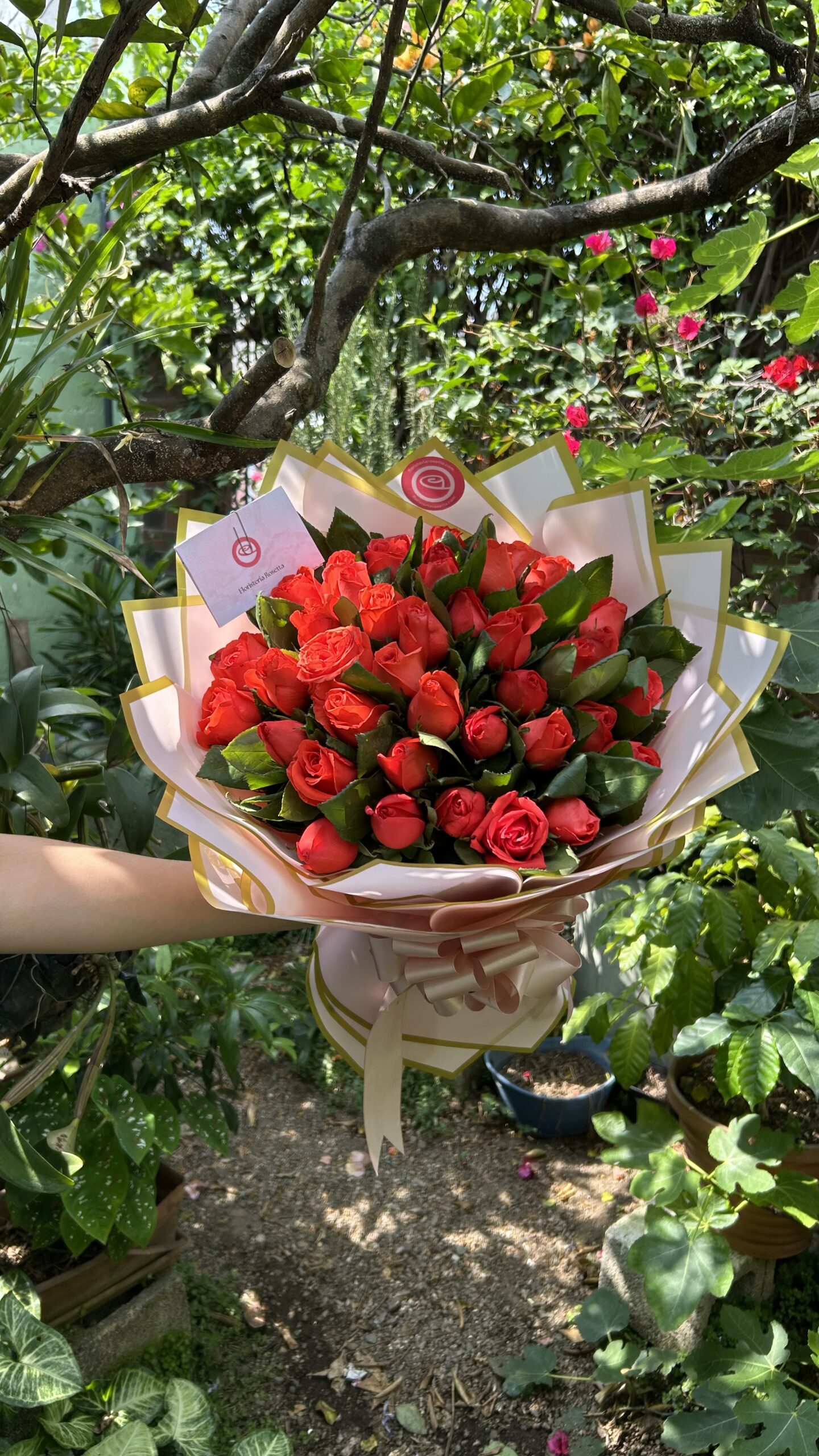 Ramo de 48 rosas - Imagen 2