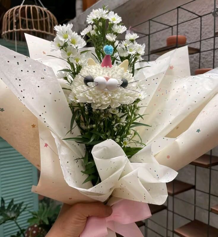 Gatito Encanto