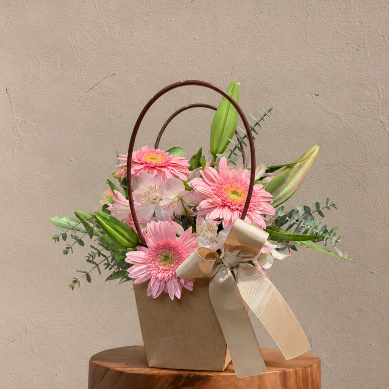 Mini Primavera