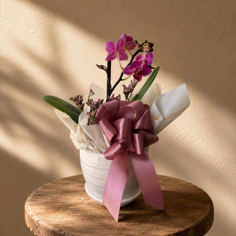 Mini Orquídea